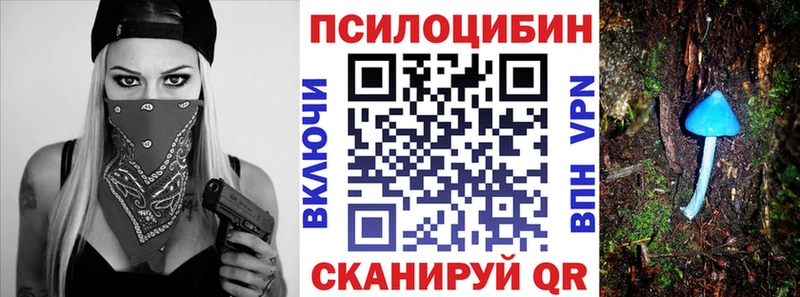 Галлюциногенные грибы Psilocybe  Ростов 